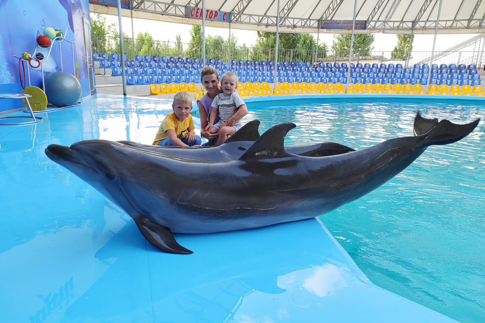 Отдых в детьми в дельфинарии