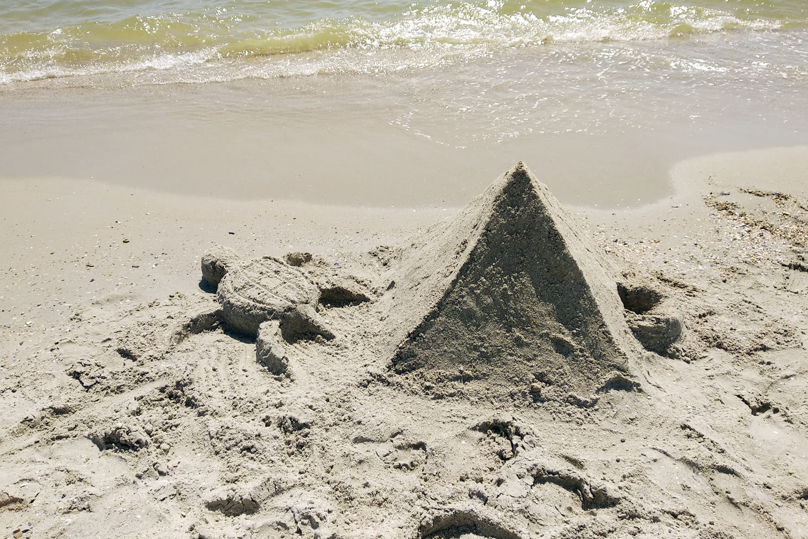 Песочная черепаха и пирамида в Рассейке